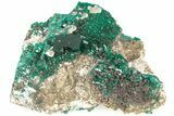Sparkling Dioptase Crystal Cluster - N'tola Mine, Congo #209677-1